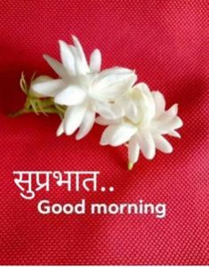 Suprabhat Good Morning Images with Flowers