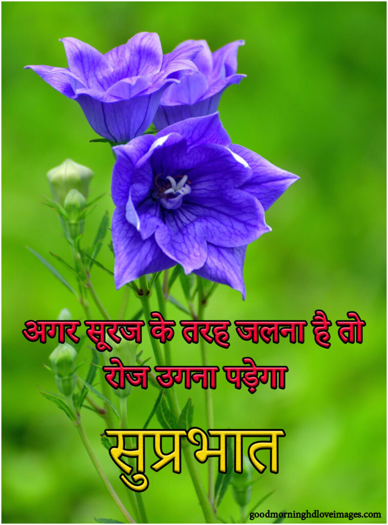 Suprabhat Images with flowers