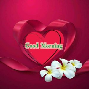 Sweet Heart Good Morning Images Free HD Free Download With Flower