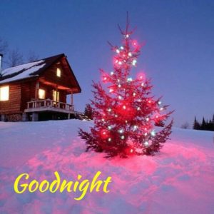 Beautiful Good Night Images Hd Download