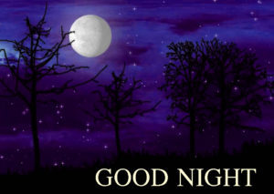 Beautiful Good Night Nature Images 10