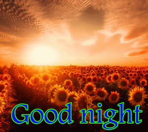 Beautiful Good Night Nature Images 5