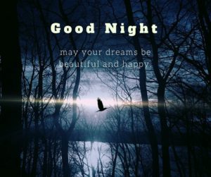 Beautiful Good Night Nature Images 7