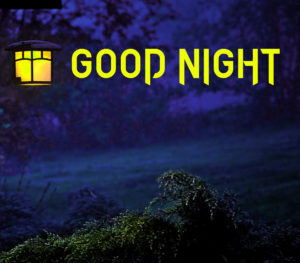 Beautiful Good Night Nature Images 9