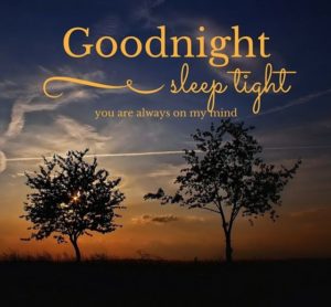 Beautiful Good Night Nature Images HD Download