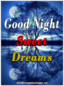 Beautiful Good Night Sweet Dreams Image For Whatsapp