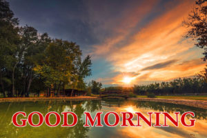 Beautiful Nature Good Morning 4K Images Wallpaper