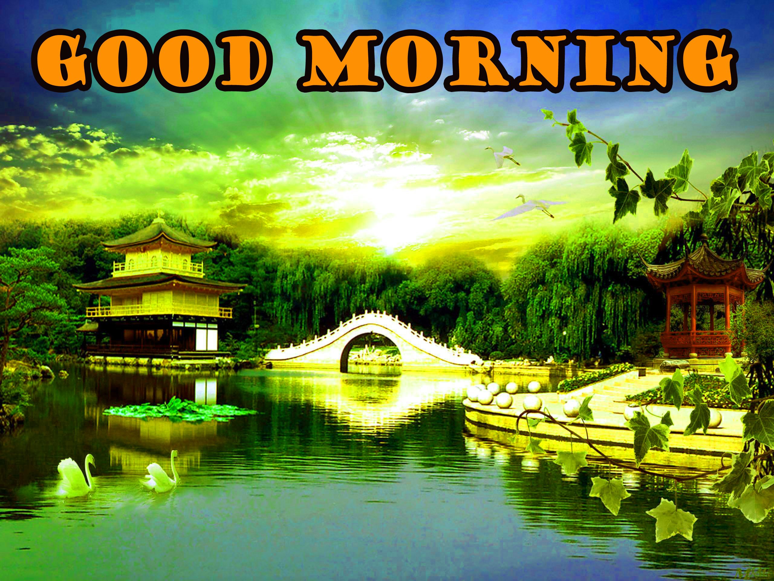 Good Morning Images Scenery - carrotapp