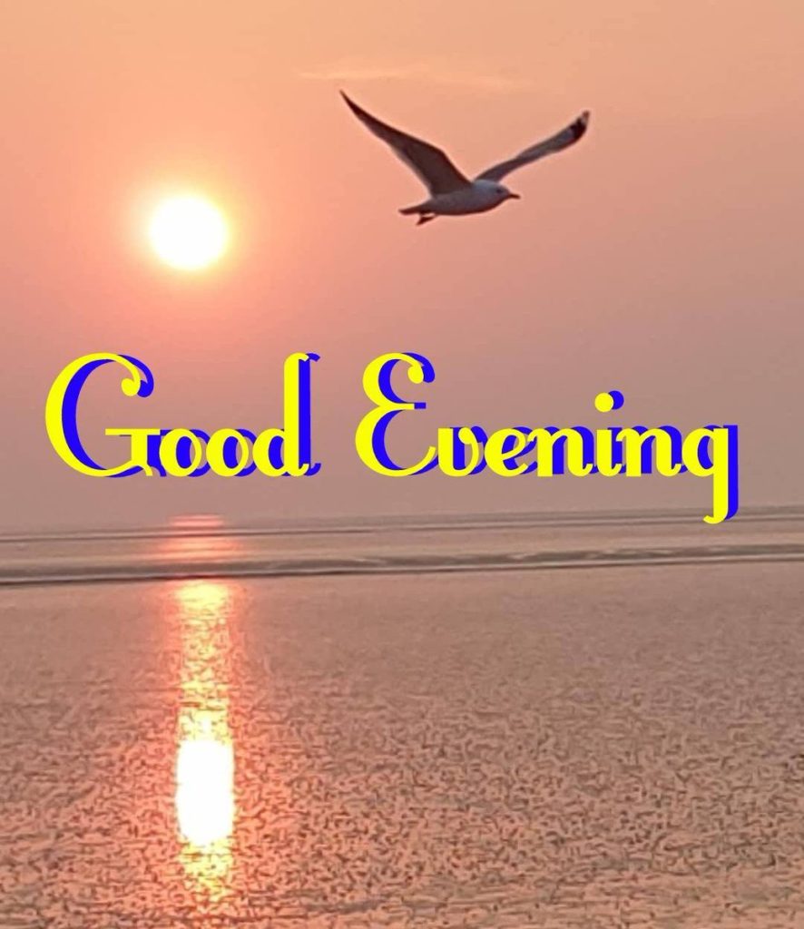 Best Good Evening Images Download For Whatsapp HD - Good Morning