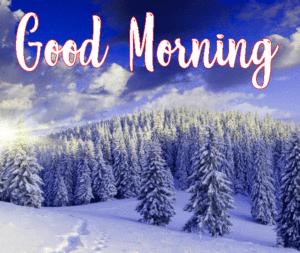 Beautifull Winter Good Morning Image