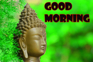 Buddha Good Morning Images Photo Pics Wallpaper