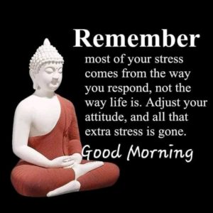 Buddha Good Morning Photo Pic Pictures Free HD