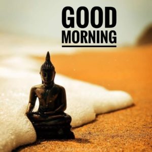 Gautam Buddha Good Morning Images Photo Pictures Download For Whatsaap