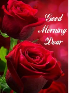 Good Morning Dear Images with Rose Flowers Download