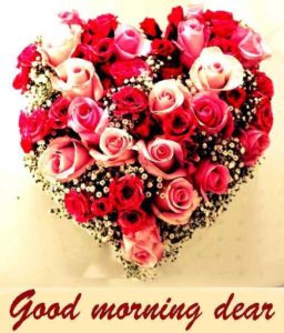 Good Morning Dear Red Flower Heart Images