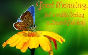 Good Morning Friends 4K Quotes with Butterfly Images