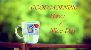 Good Morning Have A Nice Day Images Hd 1080p