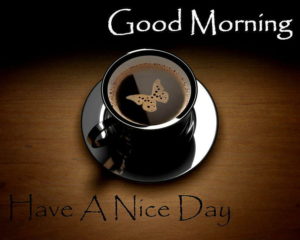 Good Morning Have A Nice Day Images Hd 1080p Download