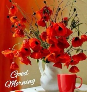 Good Morning Images Free Download For Whatsapp Hd Download 10