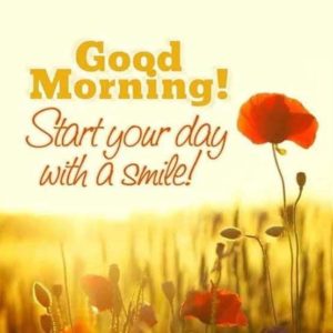 Good Morning Images Free Download For Whatsapp Hd Download 3