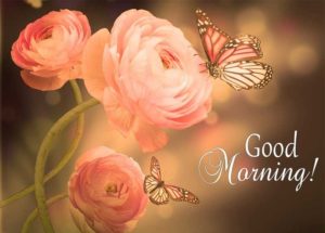 Good Morning Images Free Download For Whatsapp Hd Download 9