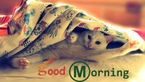 Good Morning Images Hd 1080p