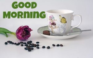 Good Morning Images Hd 1080p Free Download