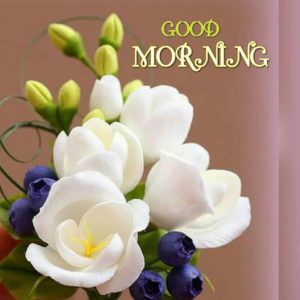 Good Morning Images Special HD Download with White Flower