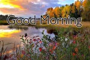 Good Morning Images With Nature Download
