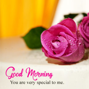 Good Morning Images for Special Person