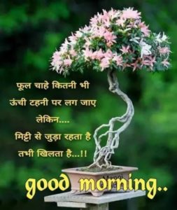 Good Morning Images in Hindi for Whatsapp Free Download 10