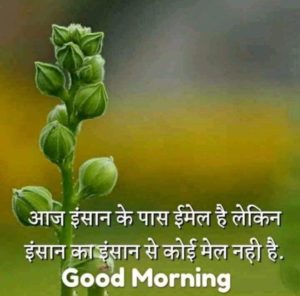 Good Morning Images in Hindi for Whatsapp Free Download 2
