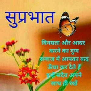 Good Morning Images in Hindi for Whatsapp Free Download 8