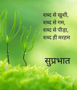Good Morning Images with Quotes for Whatsapp in Hindi 8