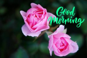 Good Morning Images with Rose Flower Decked