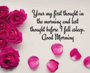 Good Morning Images with Rose Flower with Quotes