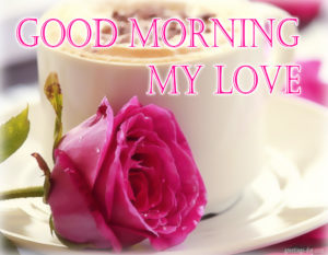 Good Morning My Love Images Photos Wallpapers