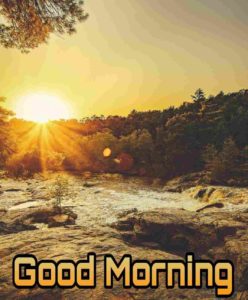 Good Morning Nature Hd Images