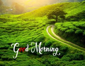 Good Morning Nature Images 2