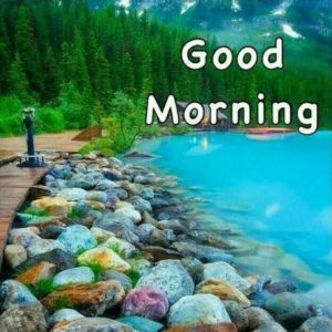 Good Morning Nature Images Hd
