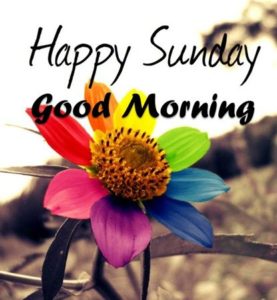 Good Morning Photos Sunday Special HD Quality