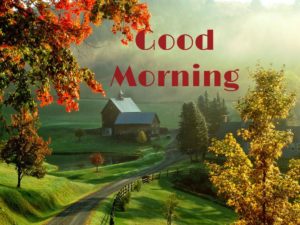 Good Morning Scenery Photo Download HD