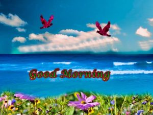 Good Morning Scenery Pictures with Birds