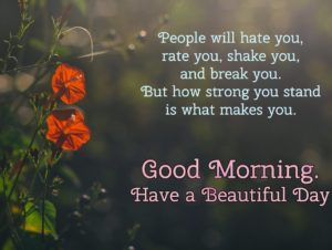Good Morning Thoughts Images Pictures HD Download In English