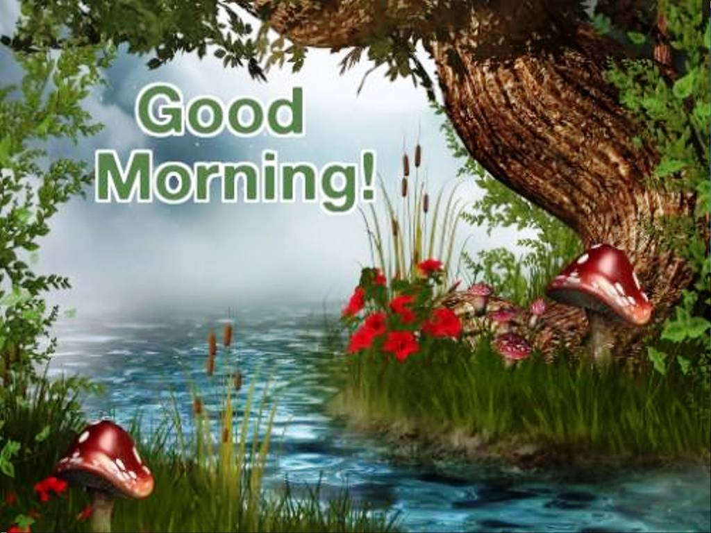 156+ Fresh Good Morning Wallpaper Free Download For Whatsapp Hd Download - Good  Morning