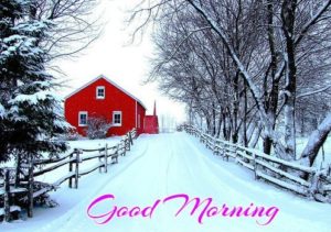 Good Morning Winter Images Download
