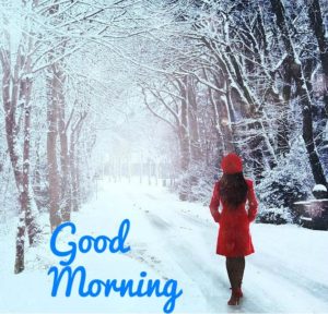 Good Morning Winter Images HD