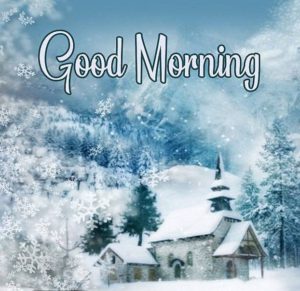 Good Morning Winter Snow Fall Nature Images