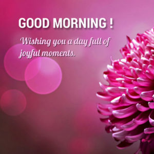 Good Morning Wishes For Someone Special Person