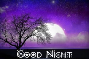 Good Night Natural Beauty Images